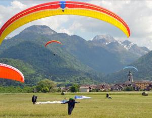 Appartements Lac d'Annecy T2 grand jardin : photos des chambres