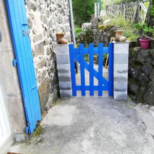 les écureuils