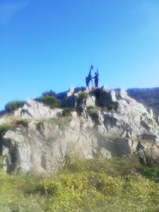 les écureuils