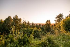 Holiday Home Razglednik 