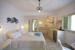 Diasino Studios Amorgos Greece