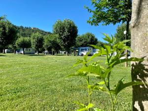 Camping Gran Sol