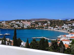 Villa Dora Studios 1 Andros Greece