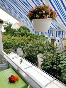 Apartmani podaca - Viškovića Vala