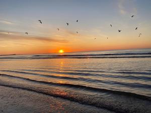 Apartament Somnila, Mamaia Nord