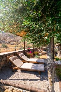 Superior Apartment room in Yiannis Retreat