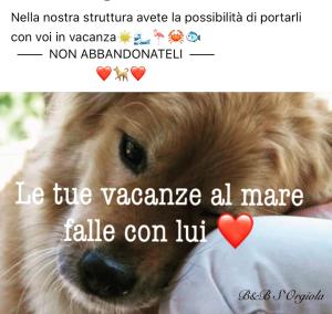 Affittacamere s' Orgiola img19