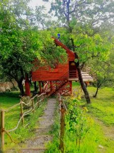 Casuta din Poiana - Ţuţuleşti