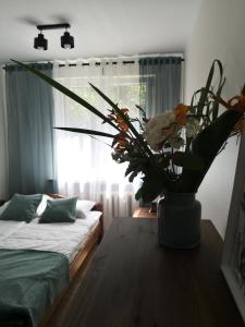 Apartament przy Starówce