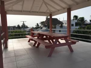 Tropical Paradise Express