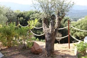 Maisons de vacances Residence A Licetta : photos des chambres