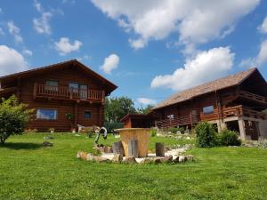 Cabana vultur2 strada popeni