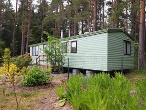 Beautiful holiday home near the pine forest