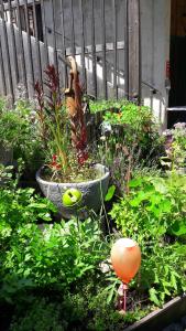 Gasthof Altes Hammerherrenhaus