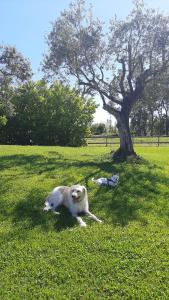 Il Casale Corte Rossa