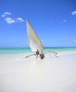 Kiwengwa, North Coast, Zanzibar, Tanzania.