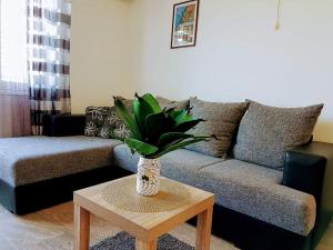 Apartmani ADRIATIC