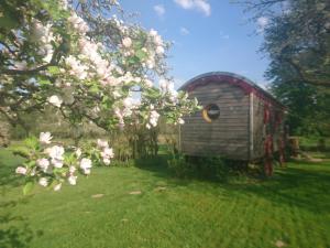 B&B / Chambres d'hotes Roulotte le temps de rever : photos des chambres