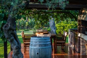 Ta Petrina Halkidiki Greece