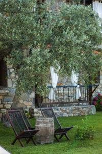 Ta Petrina Halkidiki Greece