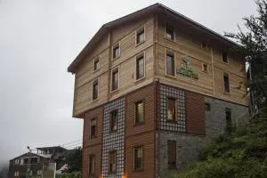 Ayder Şimşir Butik Otel - 艾德亚耶拉西