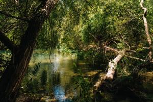 Casas de Pedra - Quinta da Escola