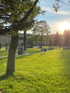 Komfortowy Domek AGA Centrum