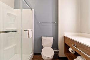 Standard Studio Queen Room - Non-Smoking room in Extended Stay America Premier Suites - Port Charlotte - I-75