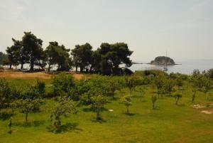 Villa Zaharo and Lilian Apartments Skiathos Greece