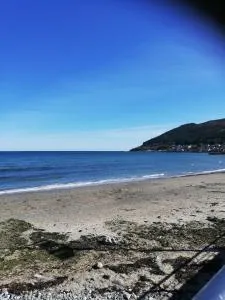 Conlyn house - 纽卡斯尔