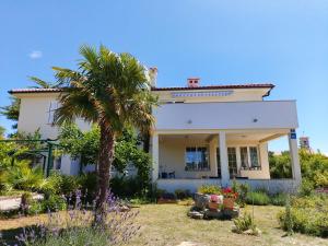 Apartman Danijel - 3hvězdičkové hotely ve městě Krk