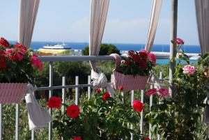 KILLINI COTTAGE STUDIO the small cyclades Ilia Greece