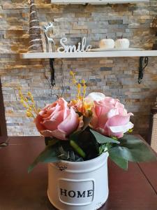 Planinska bajka - Kraljevi čardaci