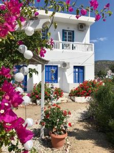 Katapola Vekris apartments Amorgos Greece