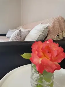 Apartma VRTNICA - 罗格坡曼戈唐