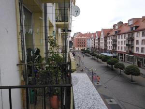 Apartament Wrocław przy Rynku