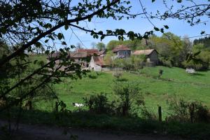 B&B / Chambres d'hotes Chambre privative et originale, a 20 mn de Cluny : photos des chambres