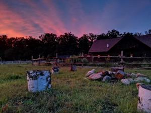 Camping Farm