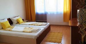 Майстор Костадин - 1878