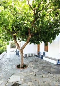 Mavrikou Helen Apartments Skyros Greece