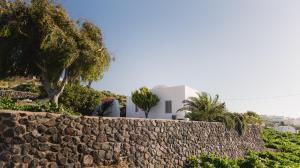 Vineyard Cycladic House Santorini Greece