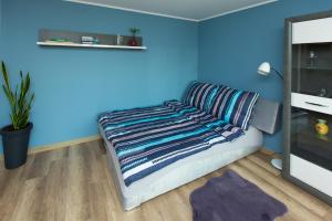 Apartament u Violetty