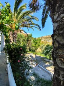 Mavrikou Helen Apartments Skyros Greece