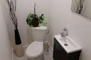 Appartements La casona : photos des chambres