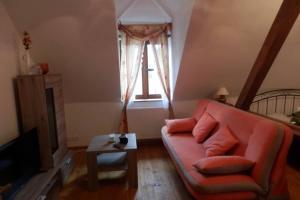 Zámeček Zdíky - Moderní velký apartmán