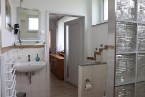 Mohnblume, die kleine Oase