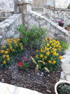 Apartmani Kamena Ruža