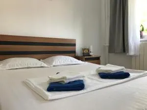 Sea Studio - Viile-Noui