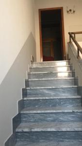 AlCentro img23