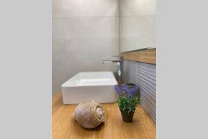 A lovely and cozy room with a breathtaking view 2